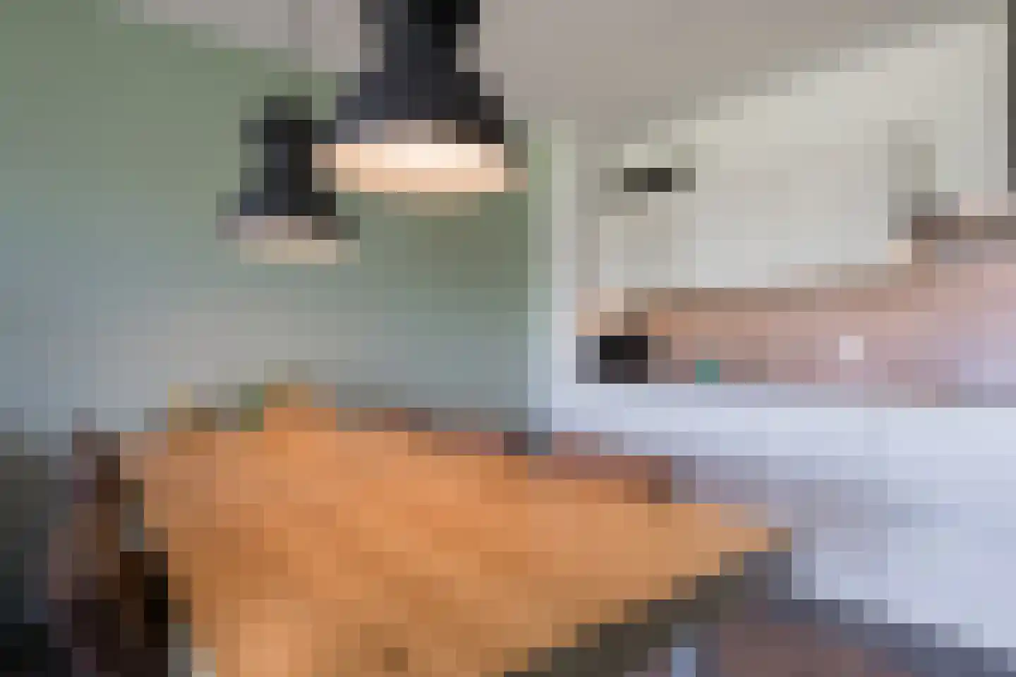 De Torenvalk 9 Lichtenvoorde thumbnail 19