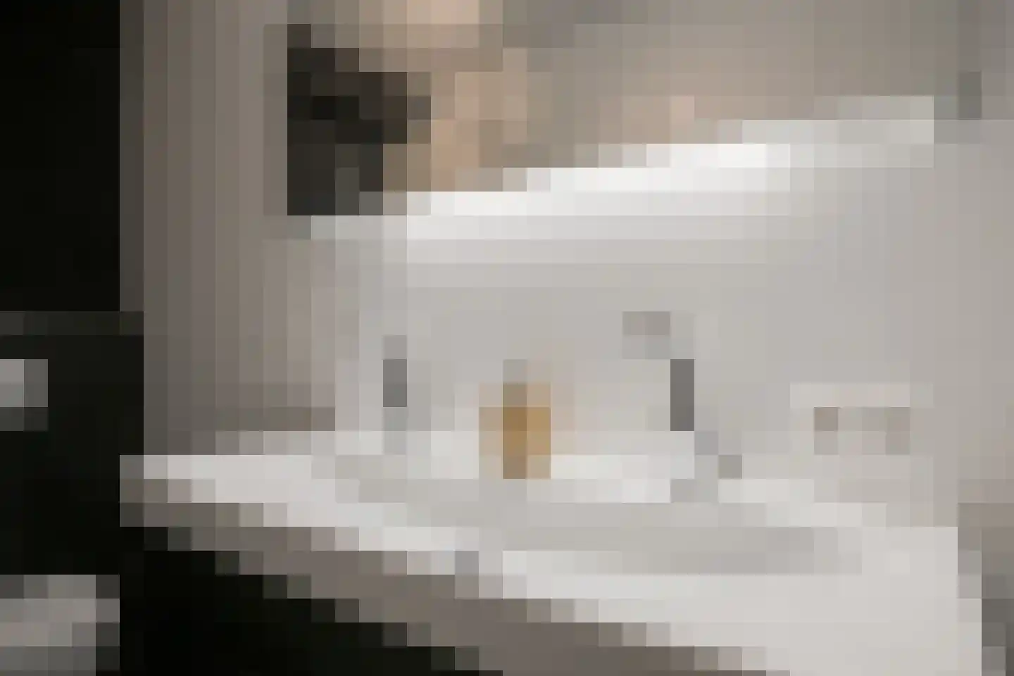 De Torenvalk 9 Lichtenvoorde thumbnail 33