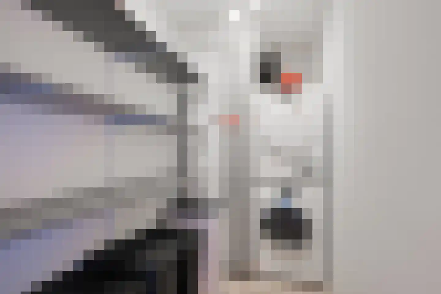 De Torenvalk 9 Lichtenvoorde thumbnail 35