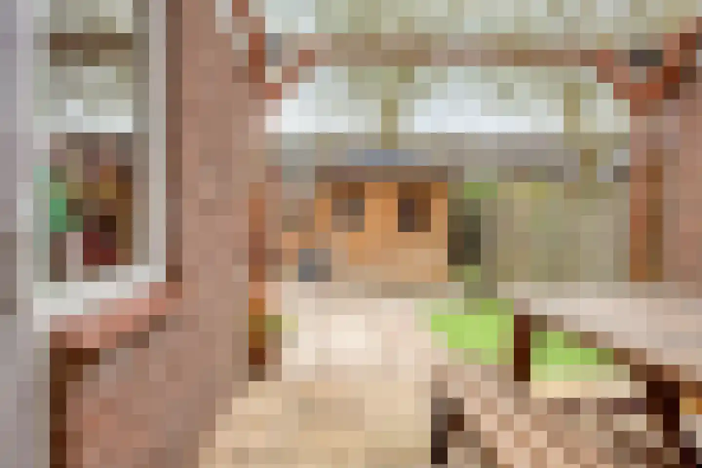 De Touwbaan 24 Hendrik-Ido-Ambacht thumbnail 23