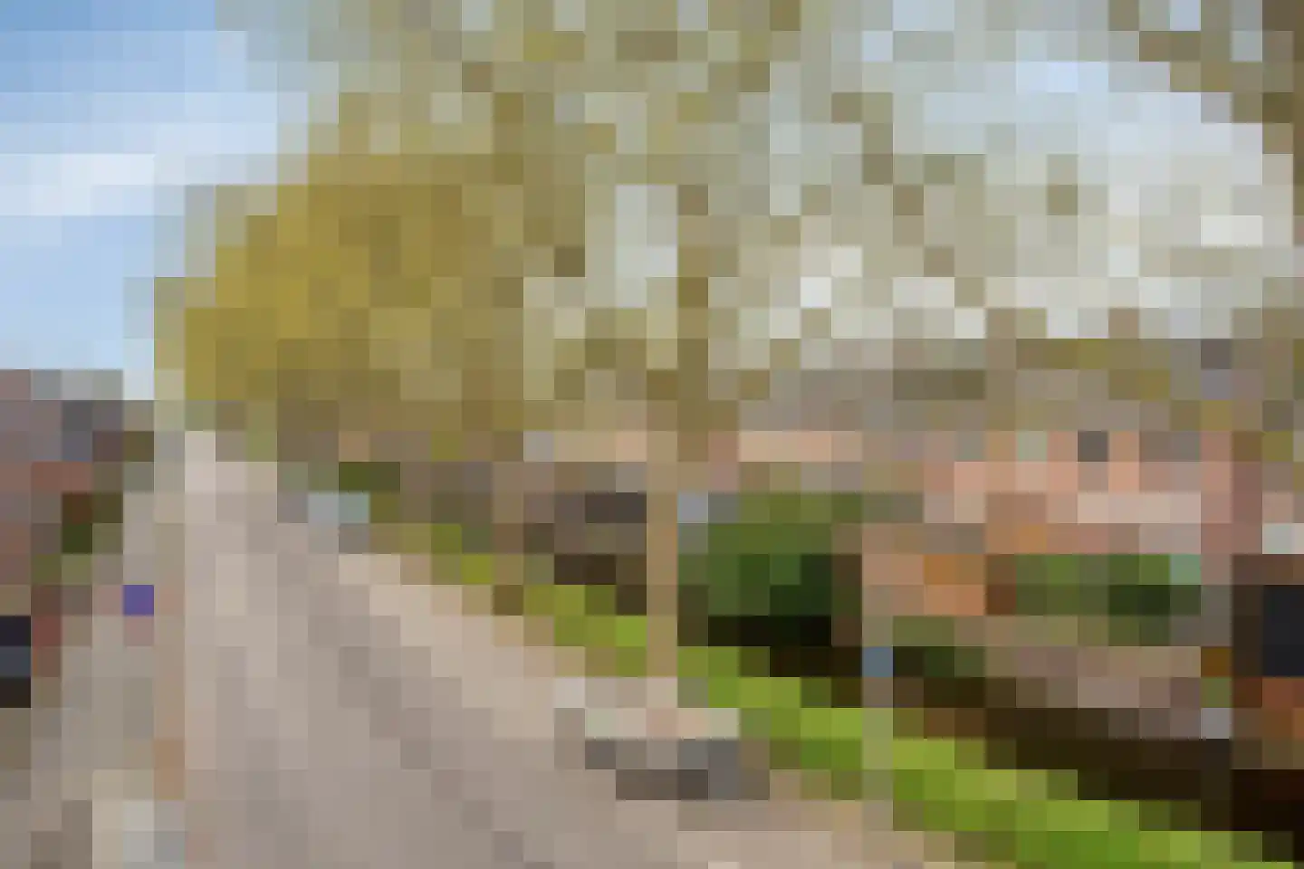 De Touwbaan 24 Hendrik-Ido-Ambacht thumbnail 49