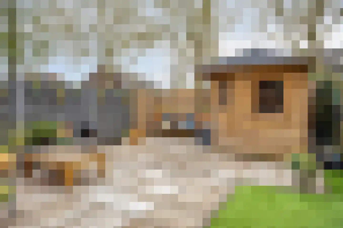 De Touwbaan 24 Hendrik-Ido-Ambacht thumbnail 5