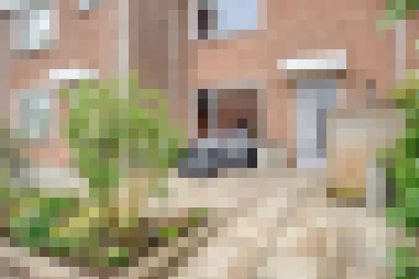 De Touwbaan 24 Hendrik-Ido-Ambacht thumbnail 7
