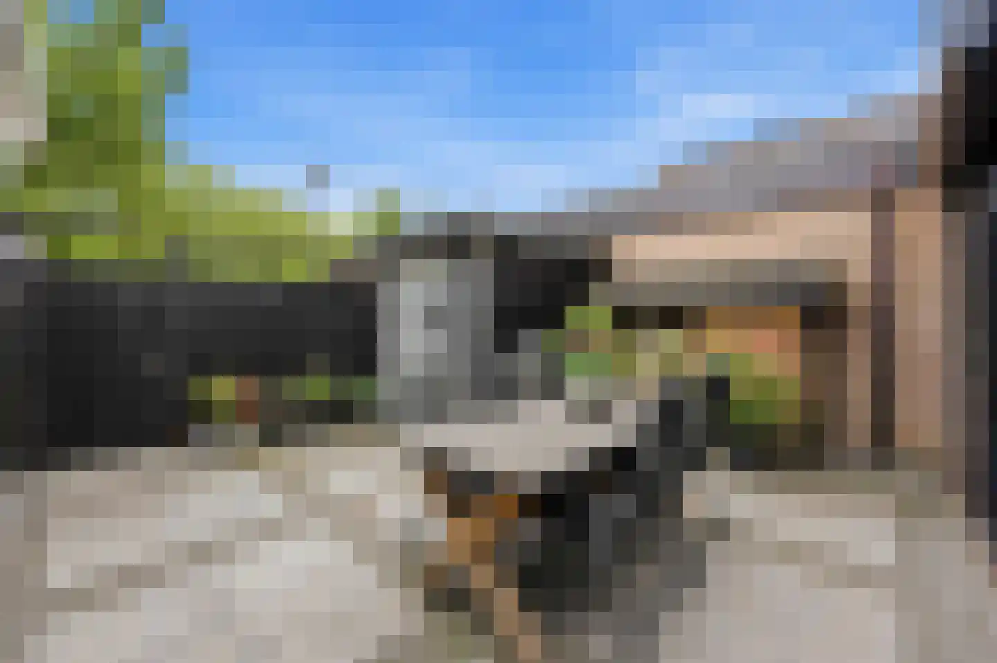 De Touwbaan 35 Hendrik-Ido-Ambacht thumbnail 23