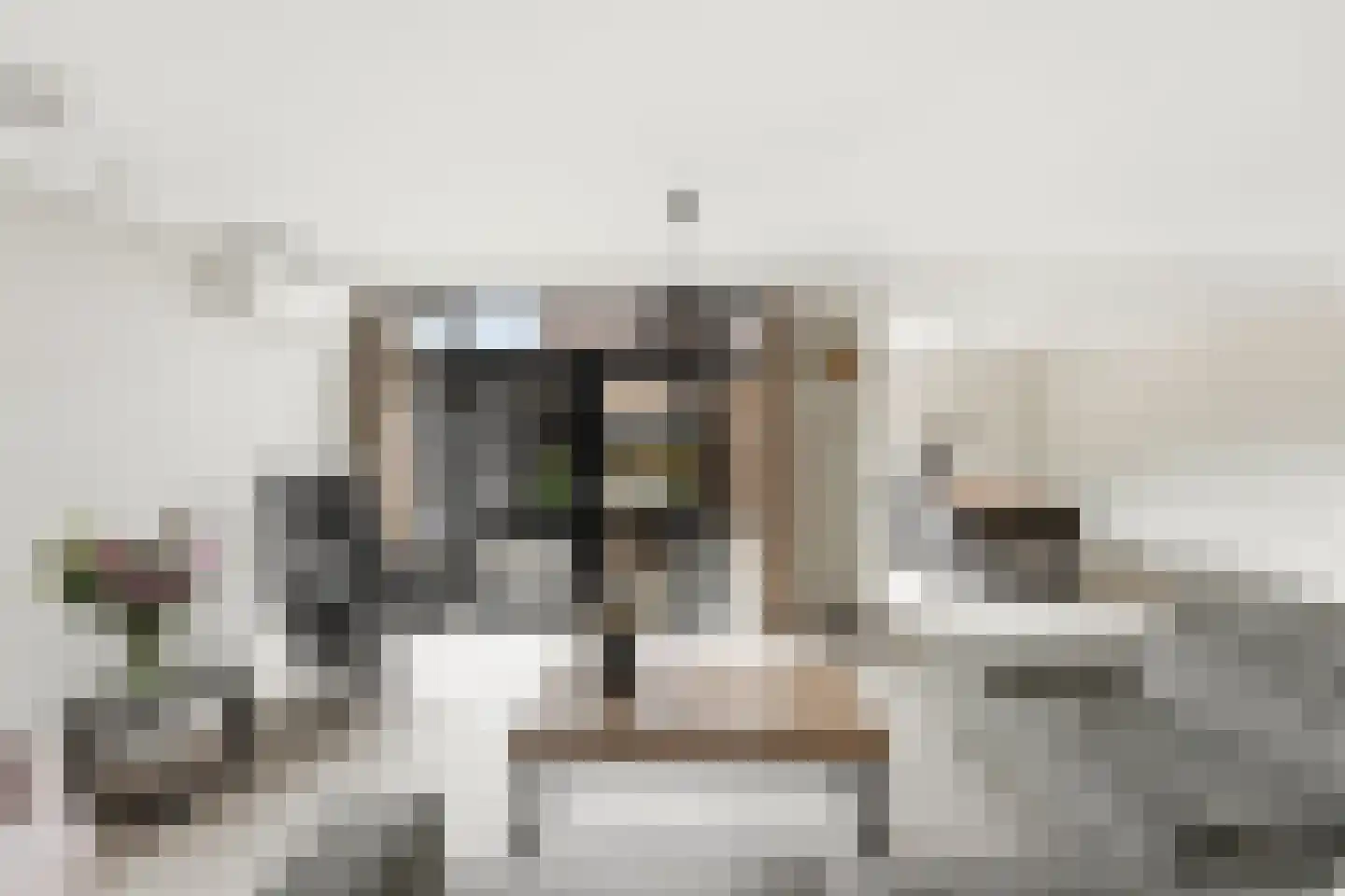 De Touwbaan 35 Hendrik-Ido-Ambacht thumbnail 4