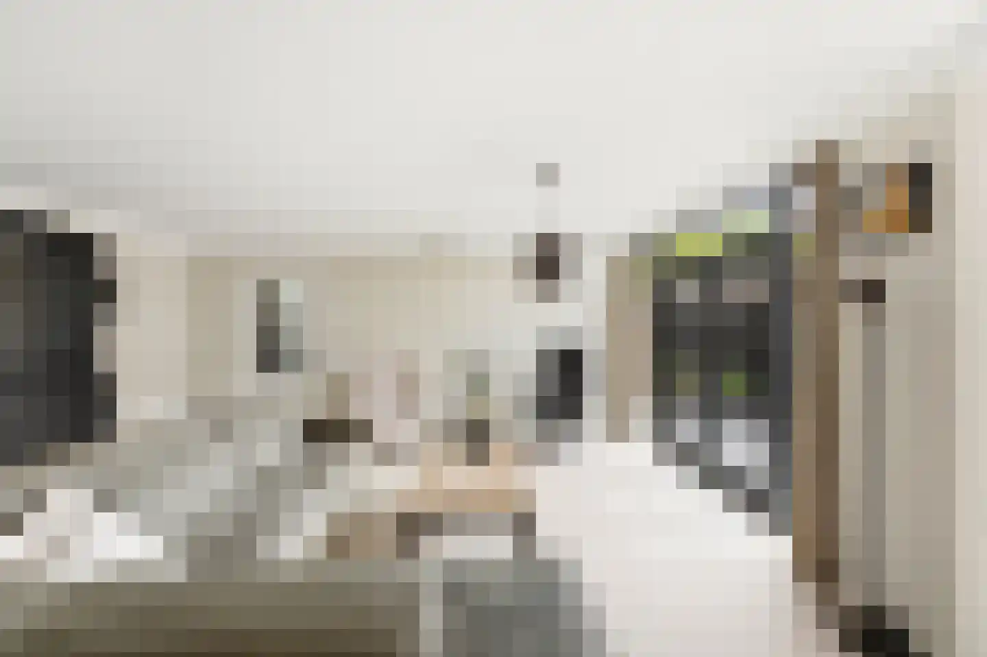 De Touwbaan 35 Hendrik-Ido-Ambacht thumbnail 5