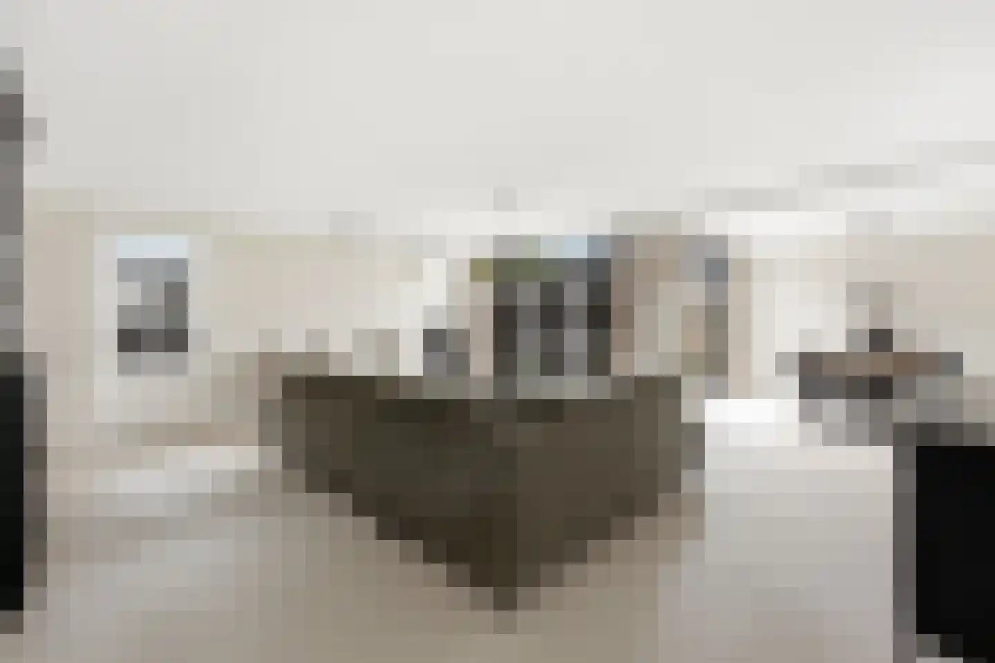 De Touwbaan 35 Hendrik-Ido-Ambacht thumbnail 6