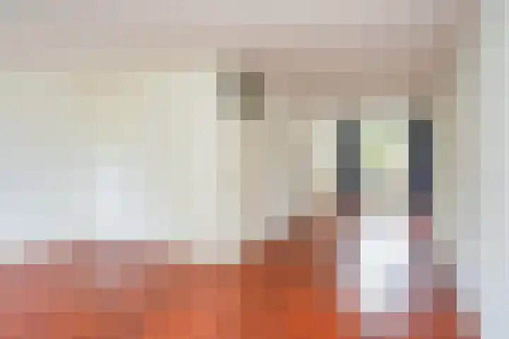 De Toverdans 18 Molenhoek thumbnail 21