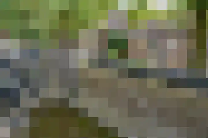 De Toverdans 18 Molenhoek thumbnail 26