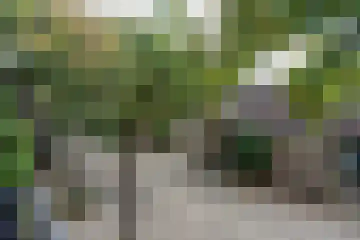 De Toverdans 18 Molenhoek thumbnail 27