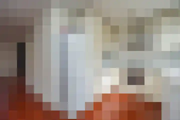 De Toverdans 18 Molenhoek thumbnail 30