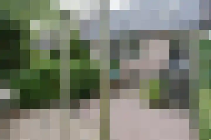 De Toverdans 18 Molenhoek thumbnail 35