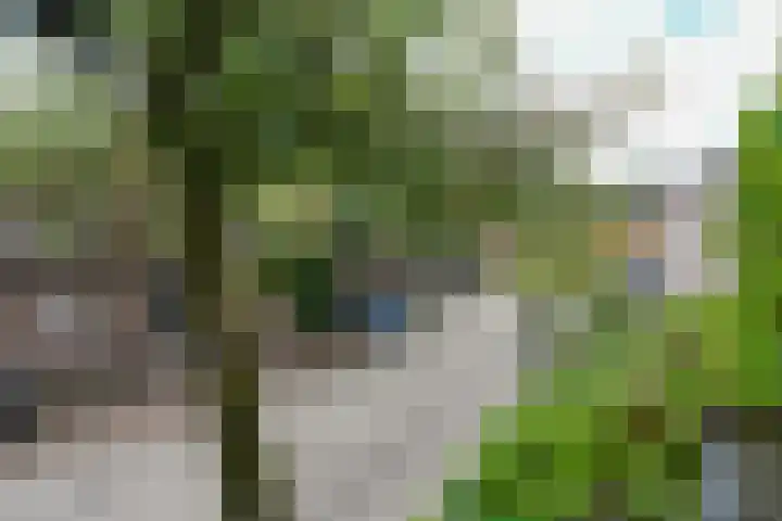 De Toverdans 18 Molenhoek thumbnail 36
