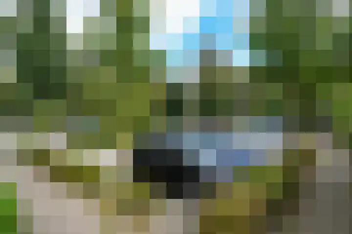 De Toverdans 18 Molenhoek thumbnail 37
