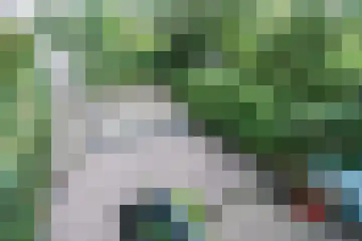 De Toverdans 18 Molenhoek thumbnail 4