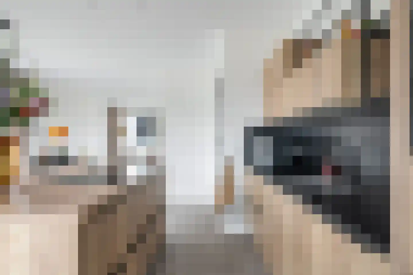 De Traan Kokerij 22 Stavoren thumbnail 17