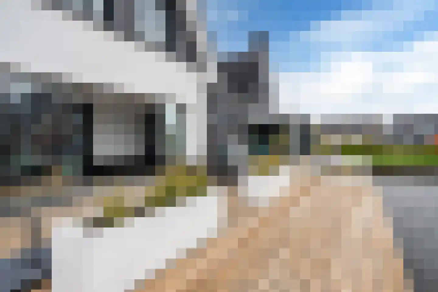 De Traan Kokerij 22 Stavoren thumbnail 28