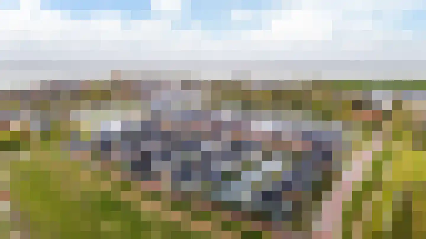 De Traan Kokerij 22 Stavoren foto 3