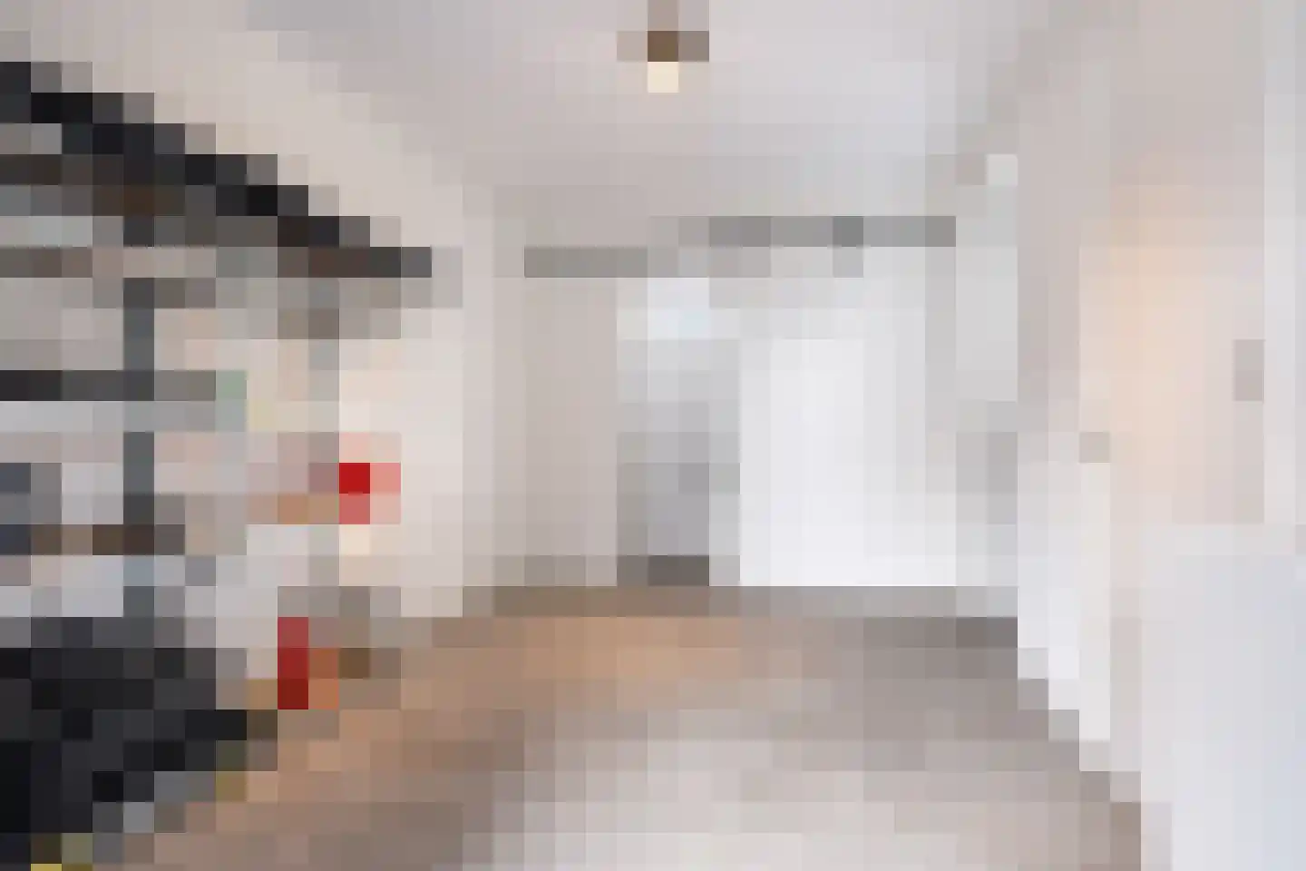 De Traan Kokerij 22 Stavoren thumbnail 34