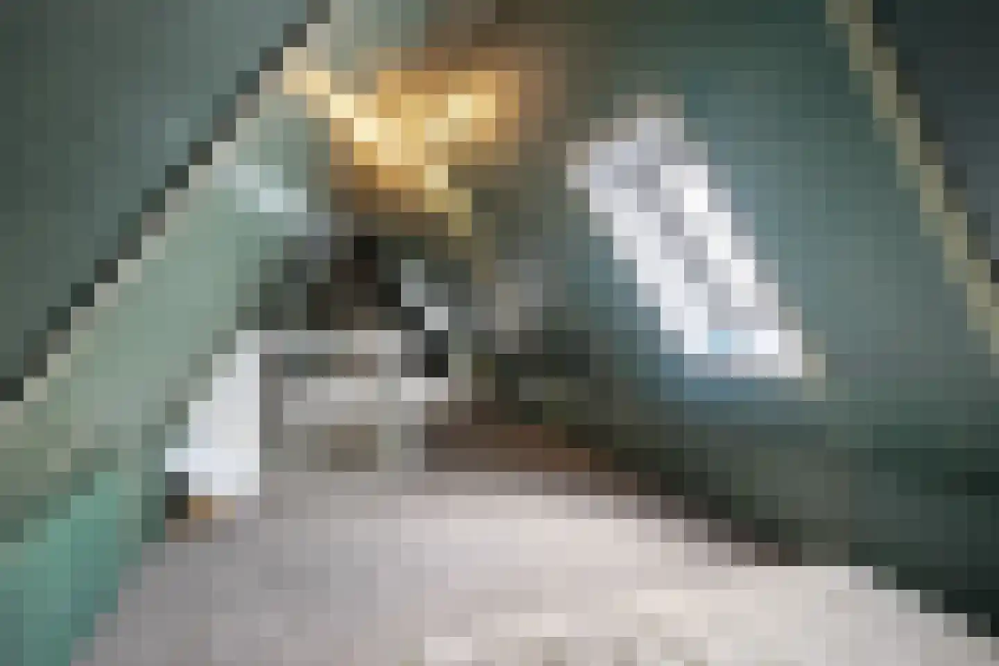 De Traan Kokerij 22 Stavoren thumbnail 53