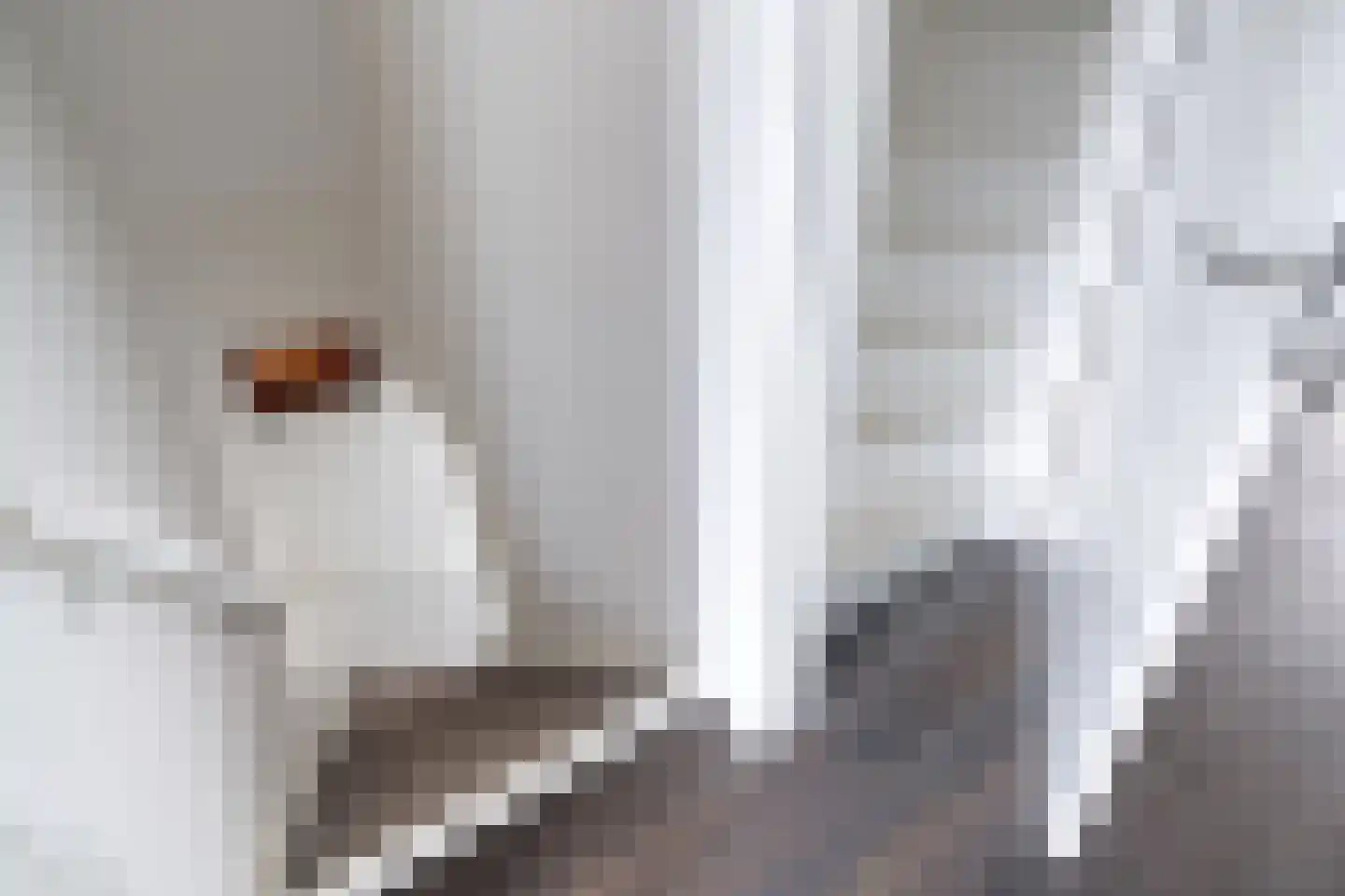 De Traan Kokerij 22 Stavoren thumbnail 55