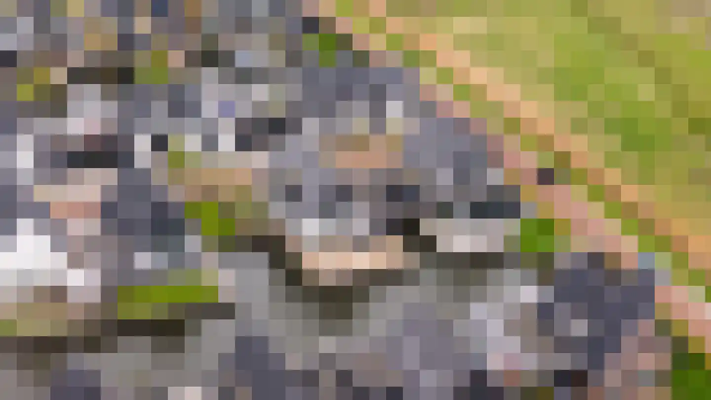 De Traan Kokerij 22 Stavoren thumbnail 56