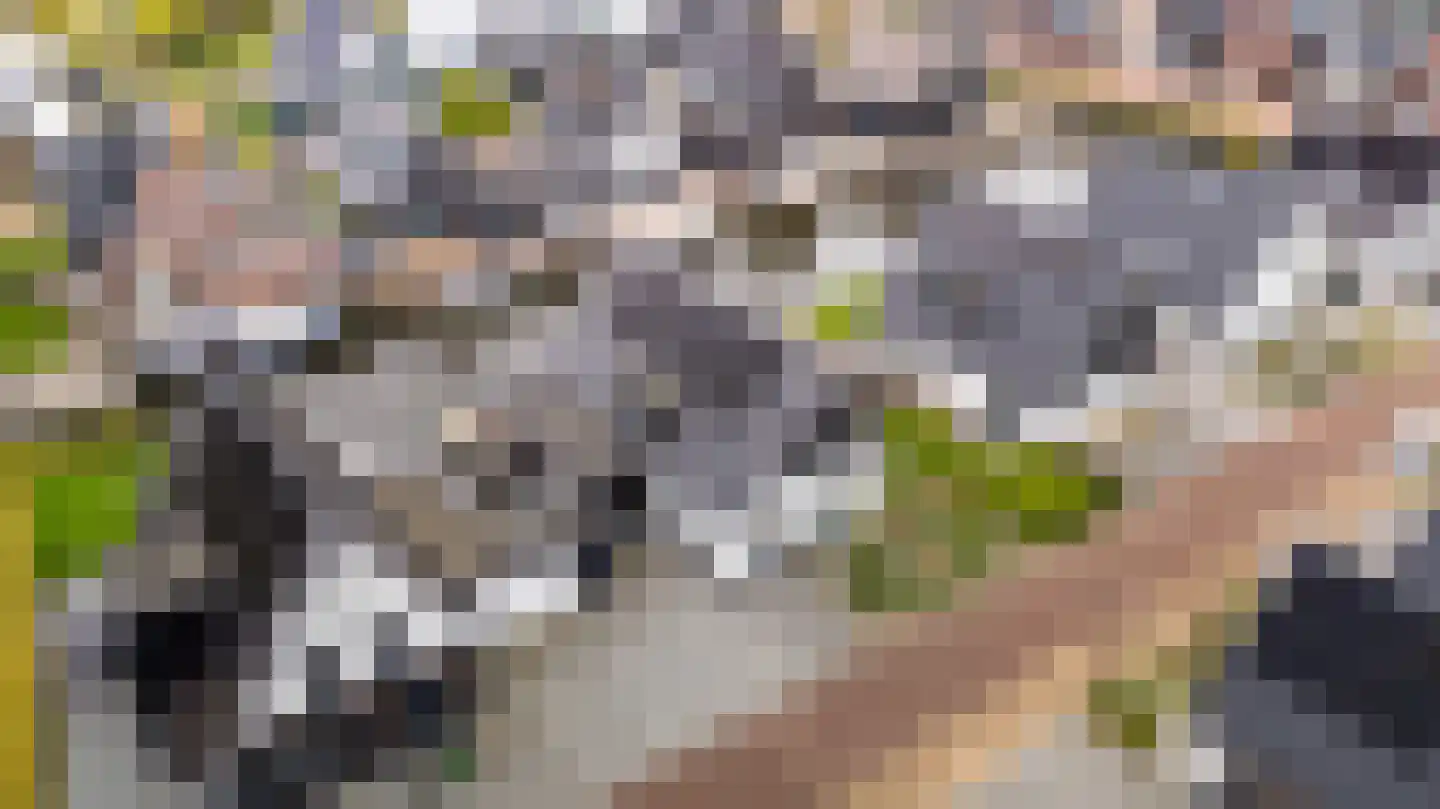 De Traan Kokerij 22 Stavoren thumbnail 57