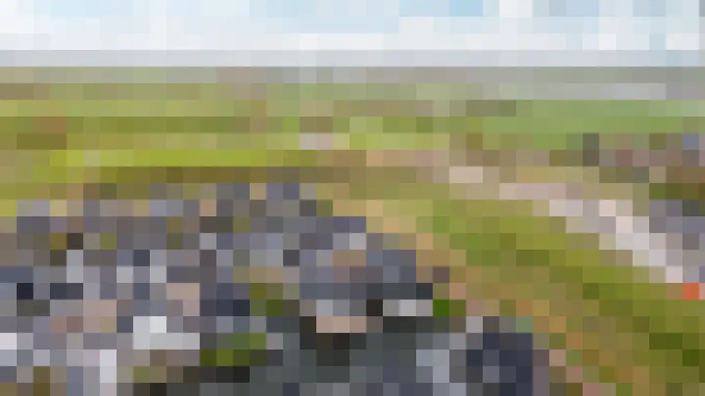 De Traan Kokerij 22 Stavoren thumbnail 58