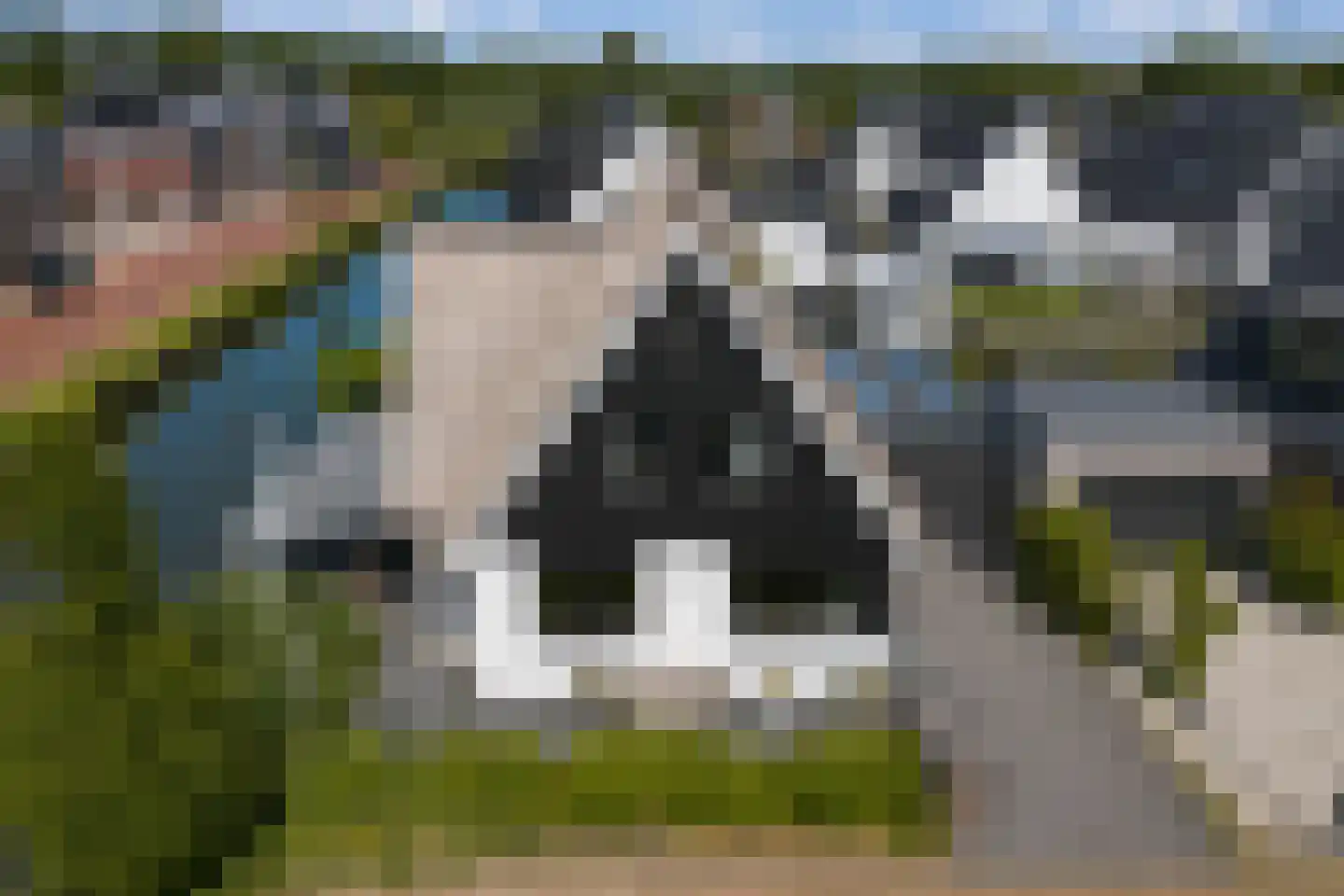 De Traan Kokerij 34 Stavoren thumbnail 10