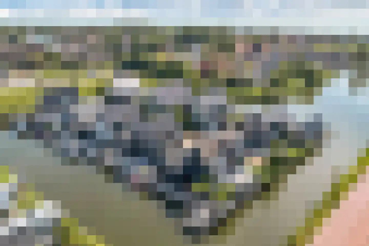 De Traan Kokerij 34 Stavoren foto 3