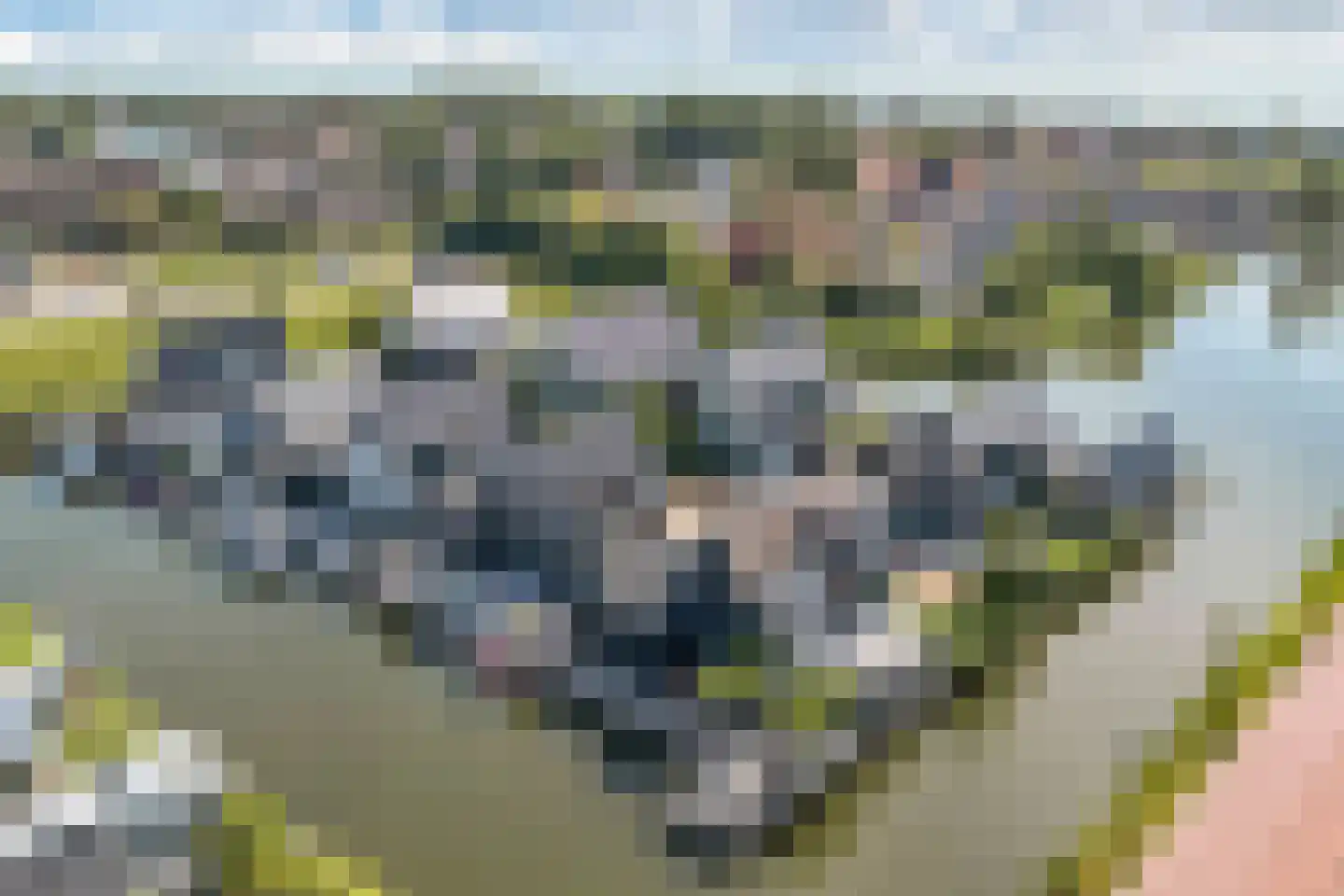 De Traan Kokerij 34 Stavoren foto 3