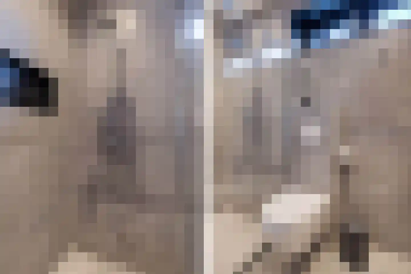De Traan Kokerij 34 Stavoren thumbnail 35