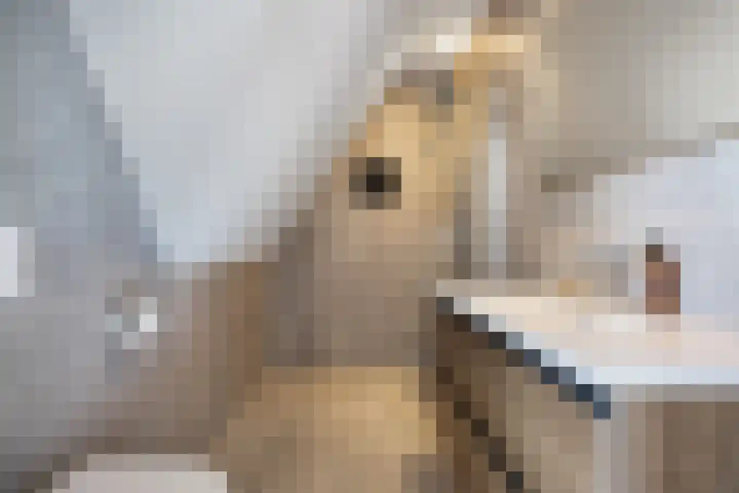 De Traan Kokerij 34 Stavoren thumbnail 41