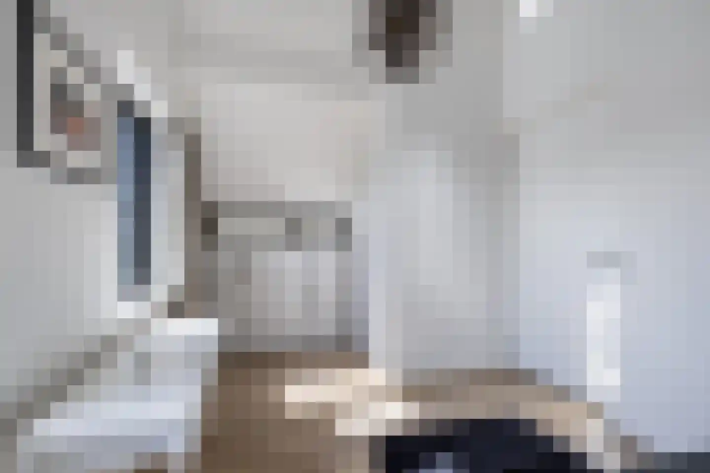 De Traan Kokerij 34 Stavoren thumbnail 47