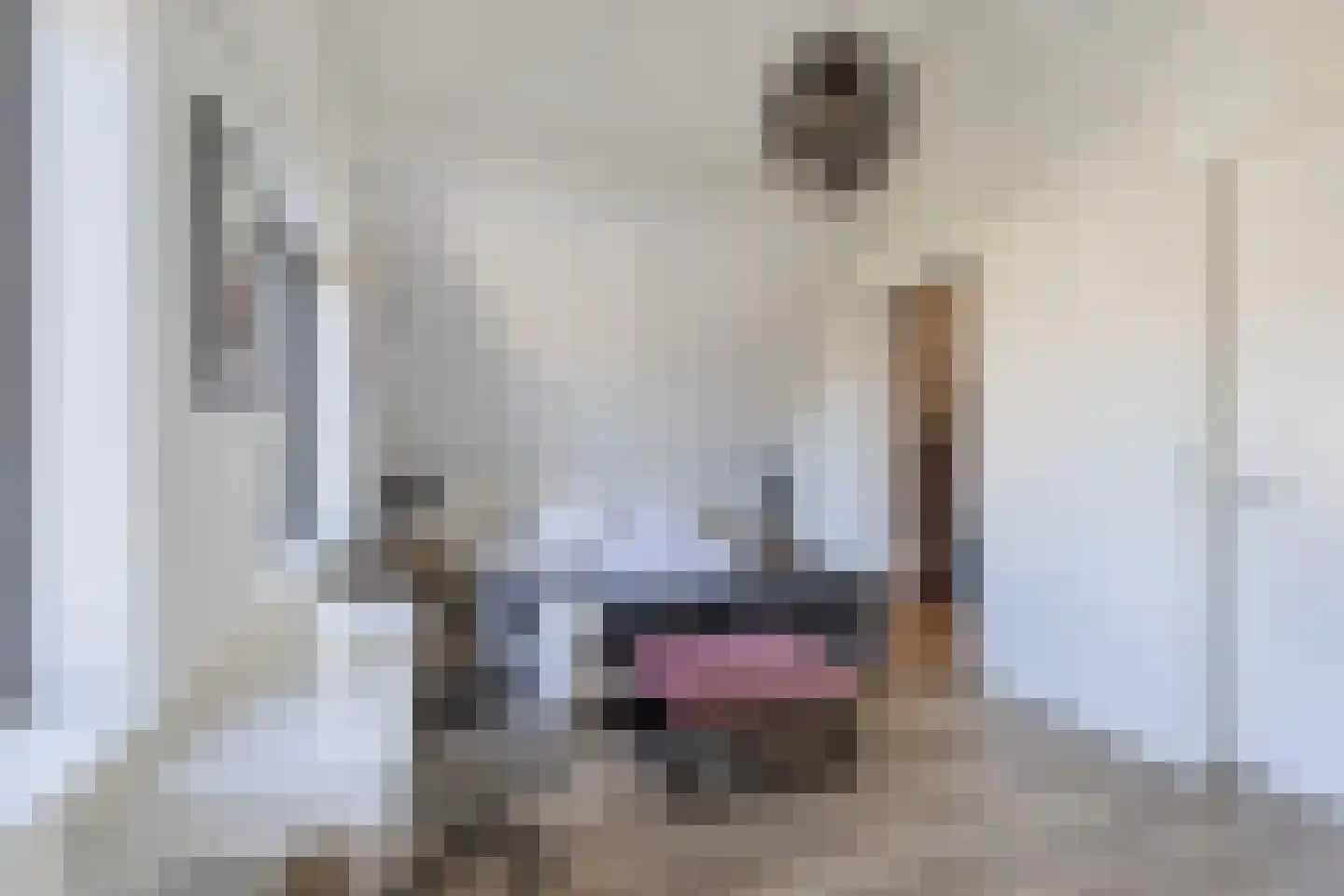 De Traan Kokerij 34 Stavoren thumbnail 53