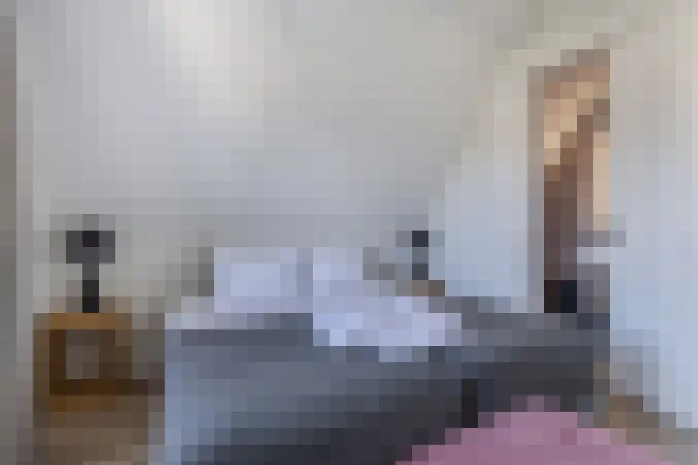 De Traan Kokerij 34 Stavoren thumbnail 55