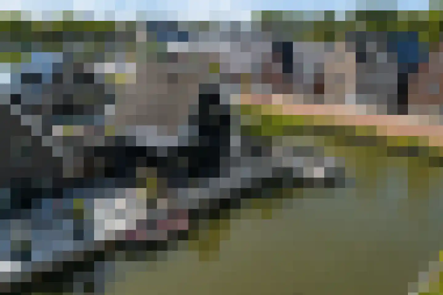 De Traan Kokerij 34 Stavoren thumbnail 77