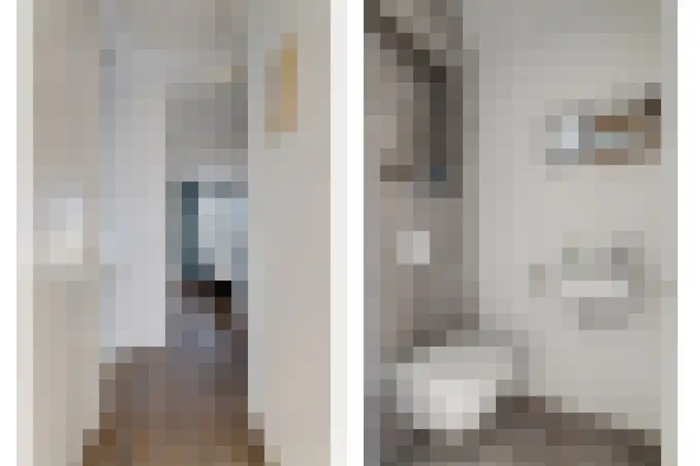 De Traan Kokerij 4 Stavoren thumbnail 15