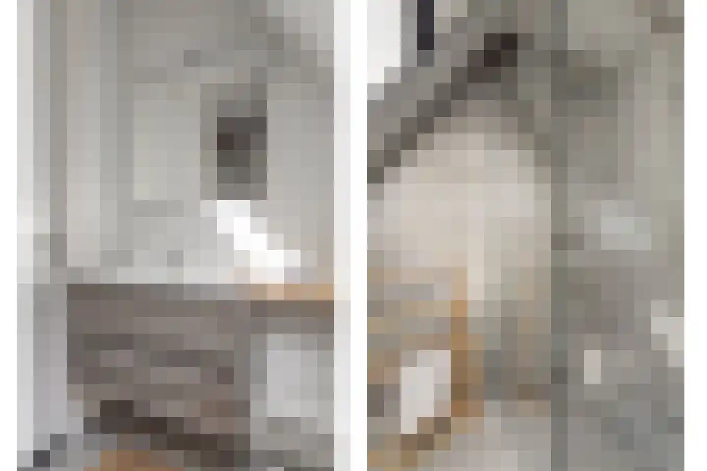 De Traan Kokerij 4 Stavoren thumbnail 19