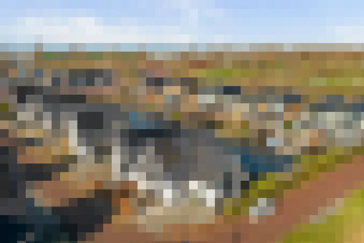 De Traan Kokerij 4 Stavoren thumbnail 25