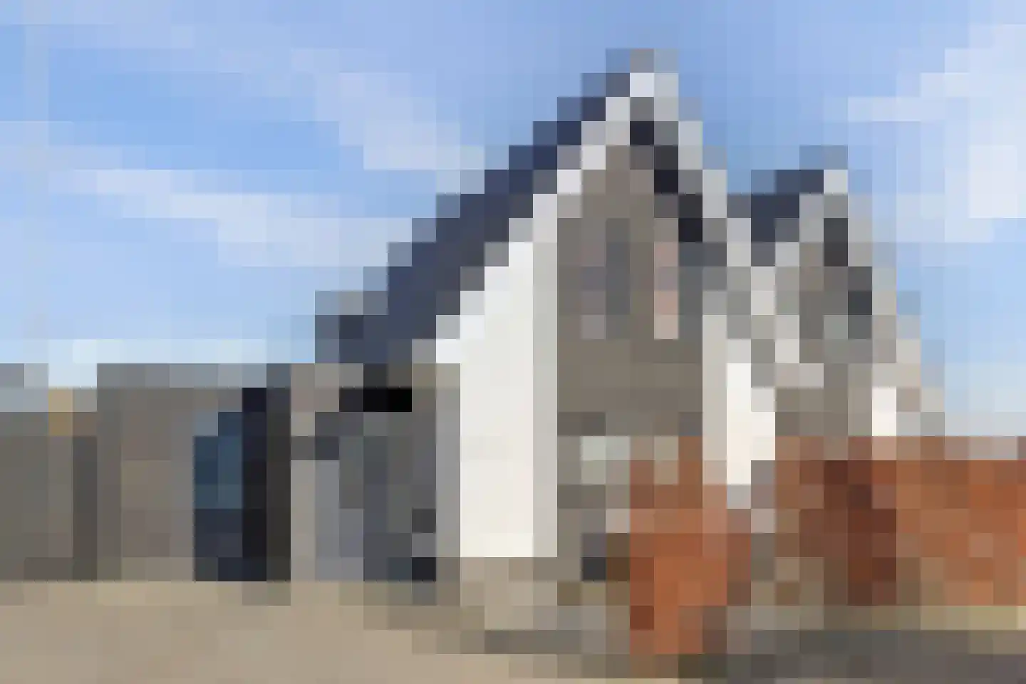De Traan Kokerij 4 Stavoren thumbnail 27