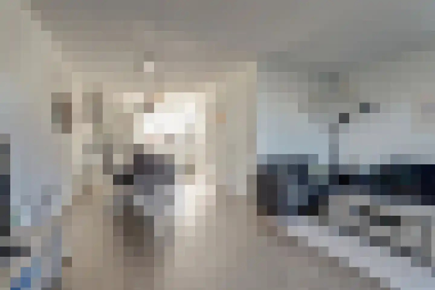 De Traan Kokerij 4 Stavoren thumbnail 8