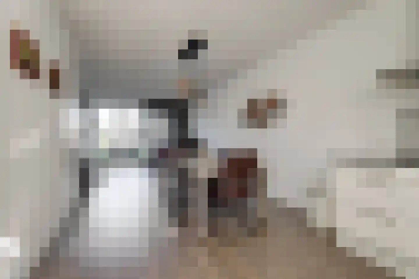 De Traan Kokerij 4 Stavoren thumbnail 9
