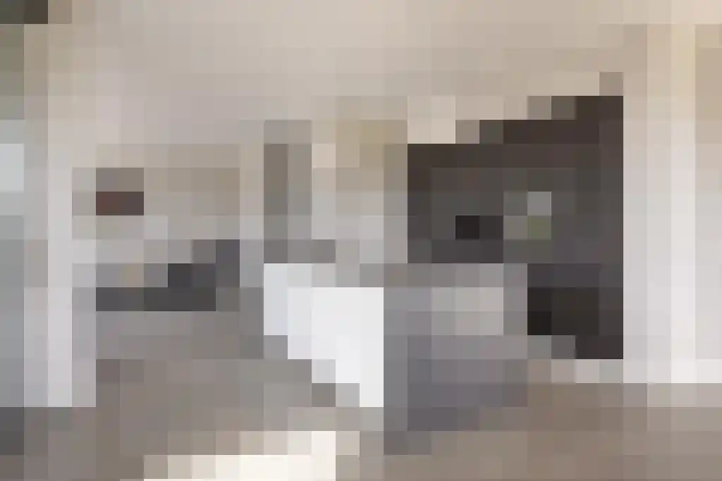 De Traan Kokerij 42 Stavoren thumbnail 11