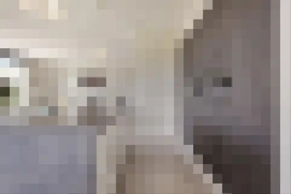 De Traan Kokerij 42 Stavoren thumbnail 12