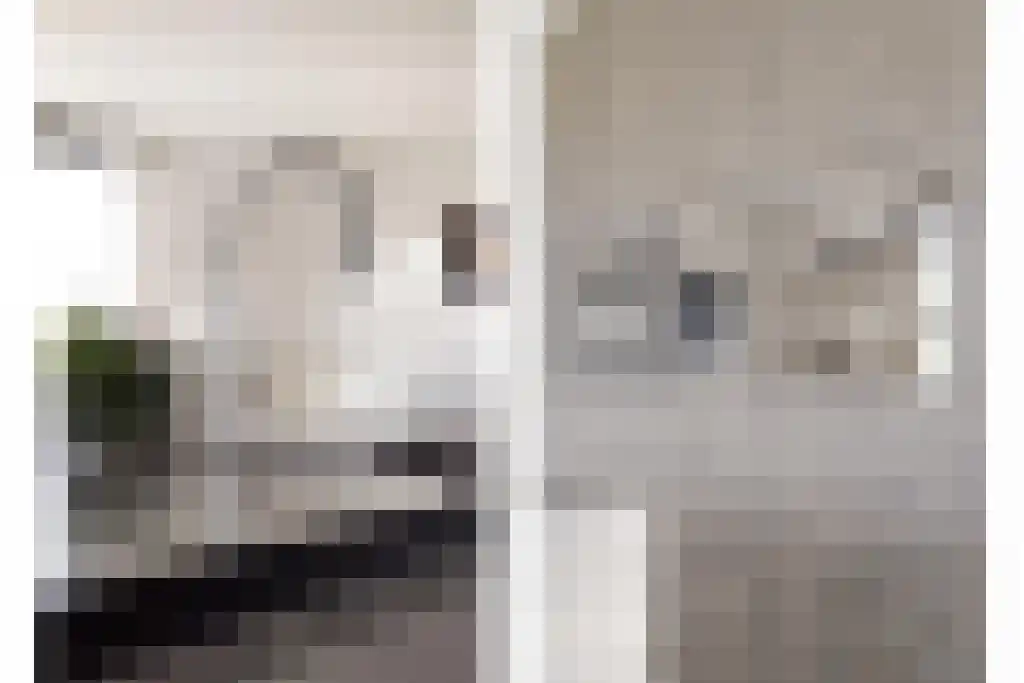 De Traan Kokerij 42 Stavoren thumbnail 13