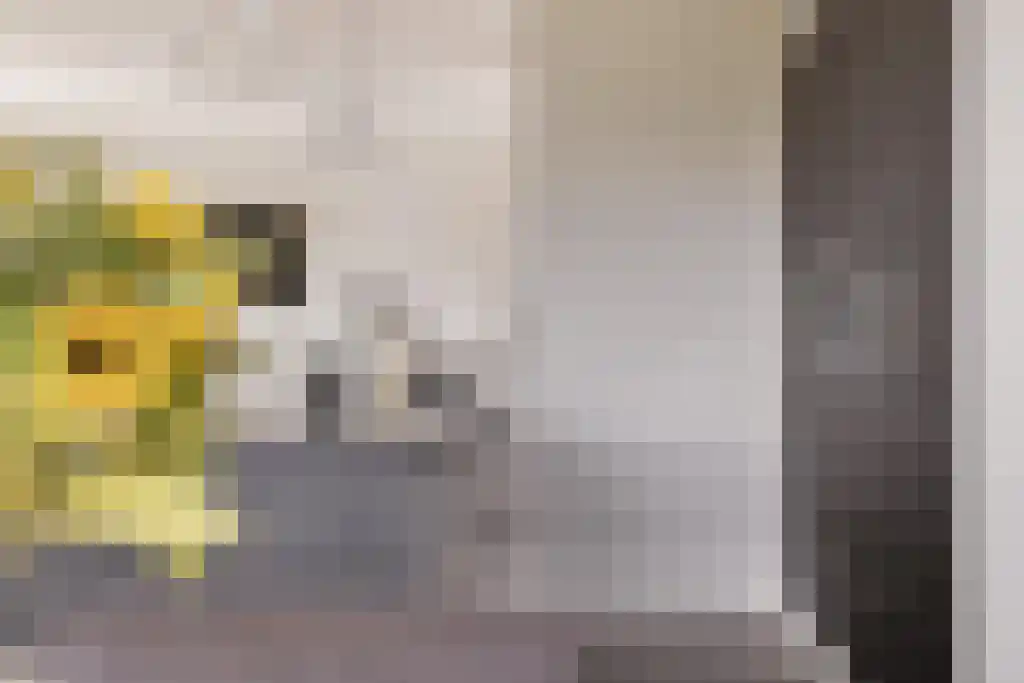 De Traan Kokerij 42 Stavoren thumbnail 14