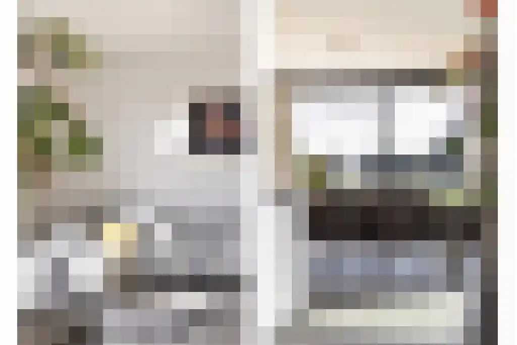 De Traan Kokerij 42 Stavoren thumbnail 16