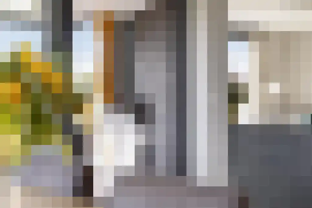 De Traan Kokerij 42 Stavoren thumbnail 17
