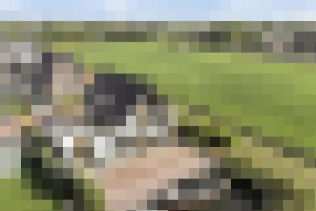 De Traan Kokerij 42 Stavoren foto 2